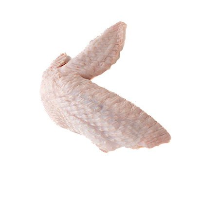 Turkey Wing