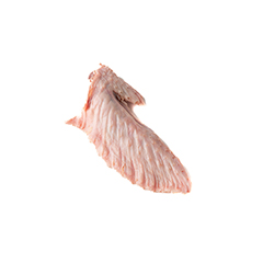 Turkey Wing Tip